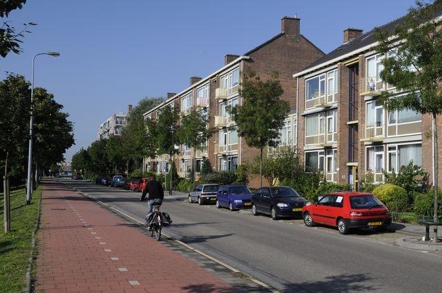 P. Werthweynstraat 37