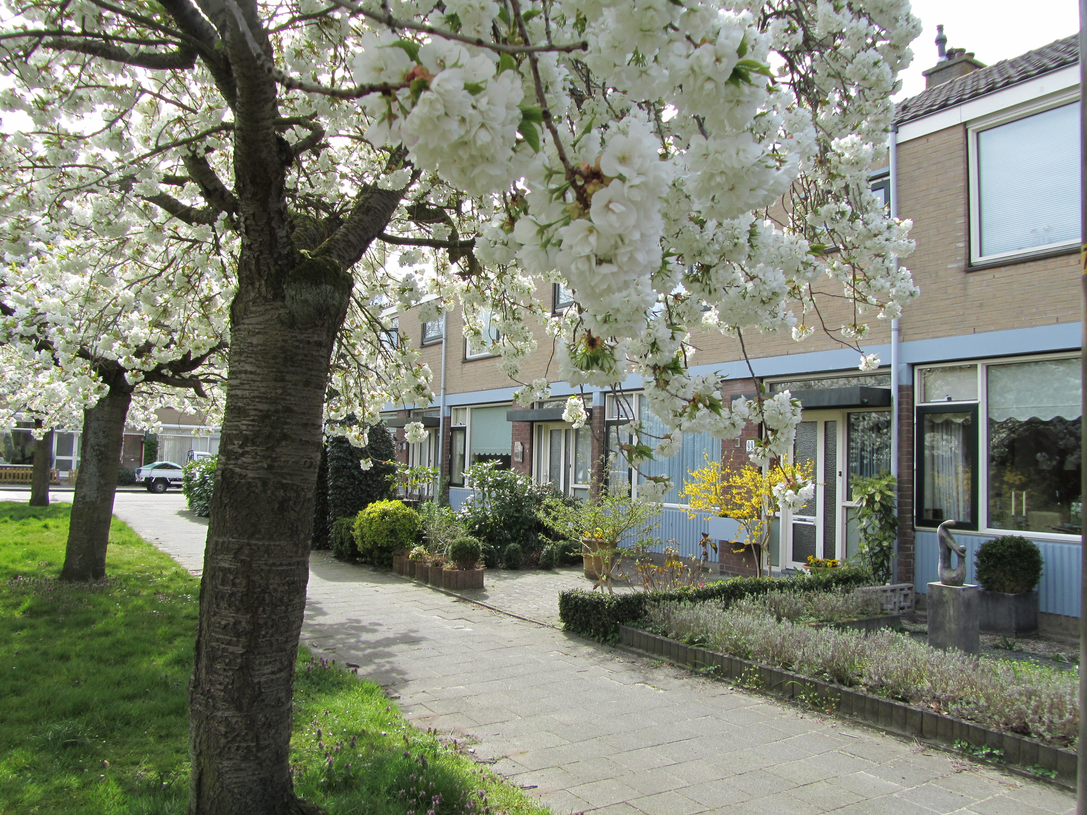 's-Heerenbergstraat 119