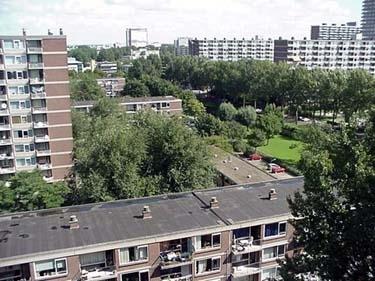 Poptahof Zuid 466