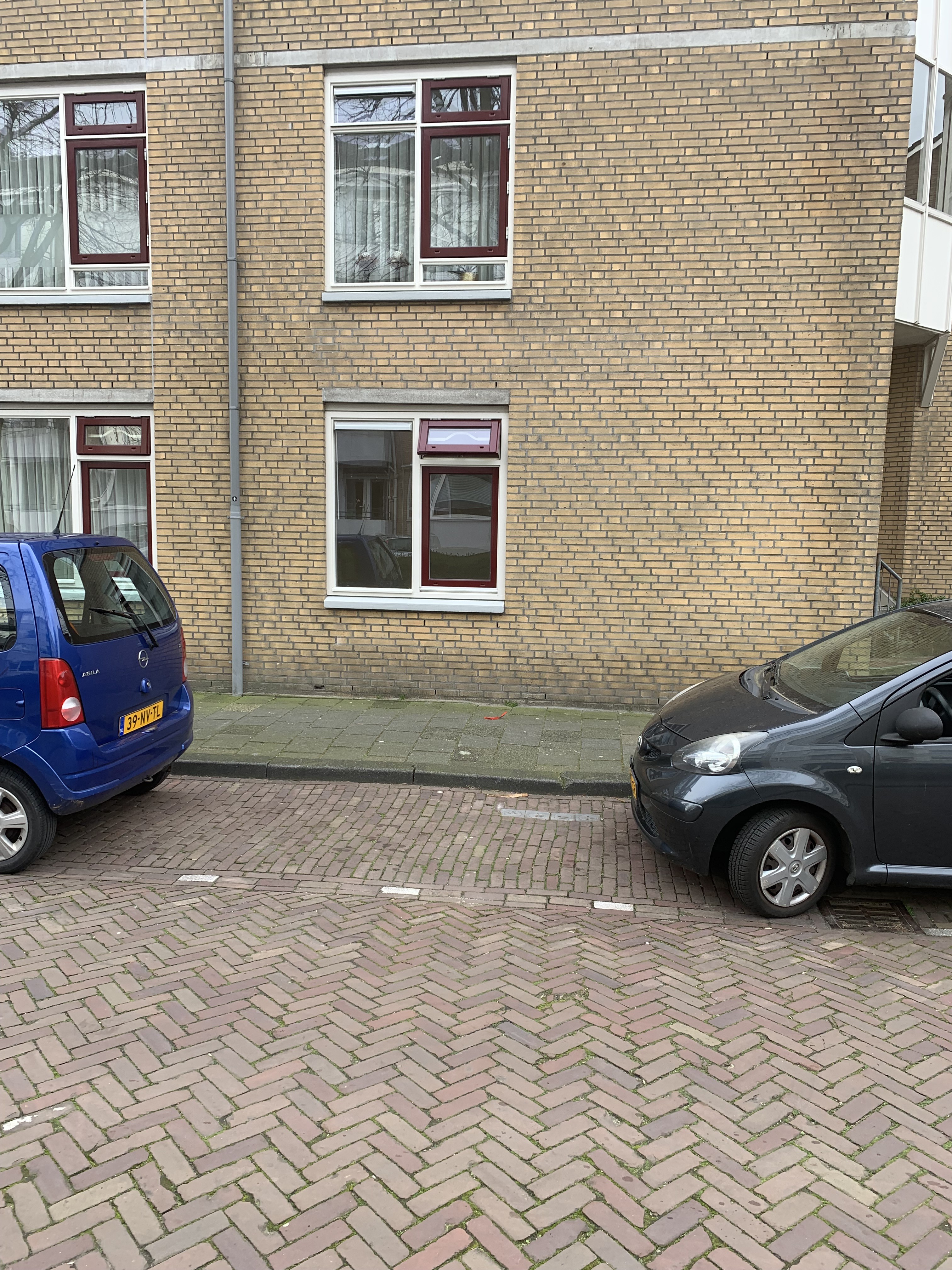 Tulpstraat 58A