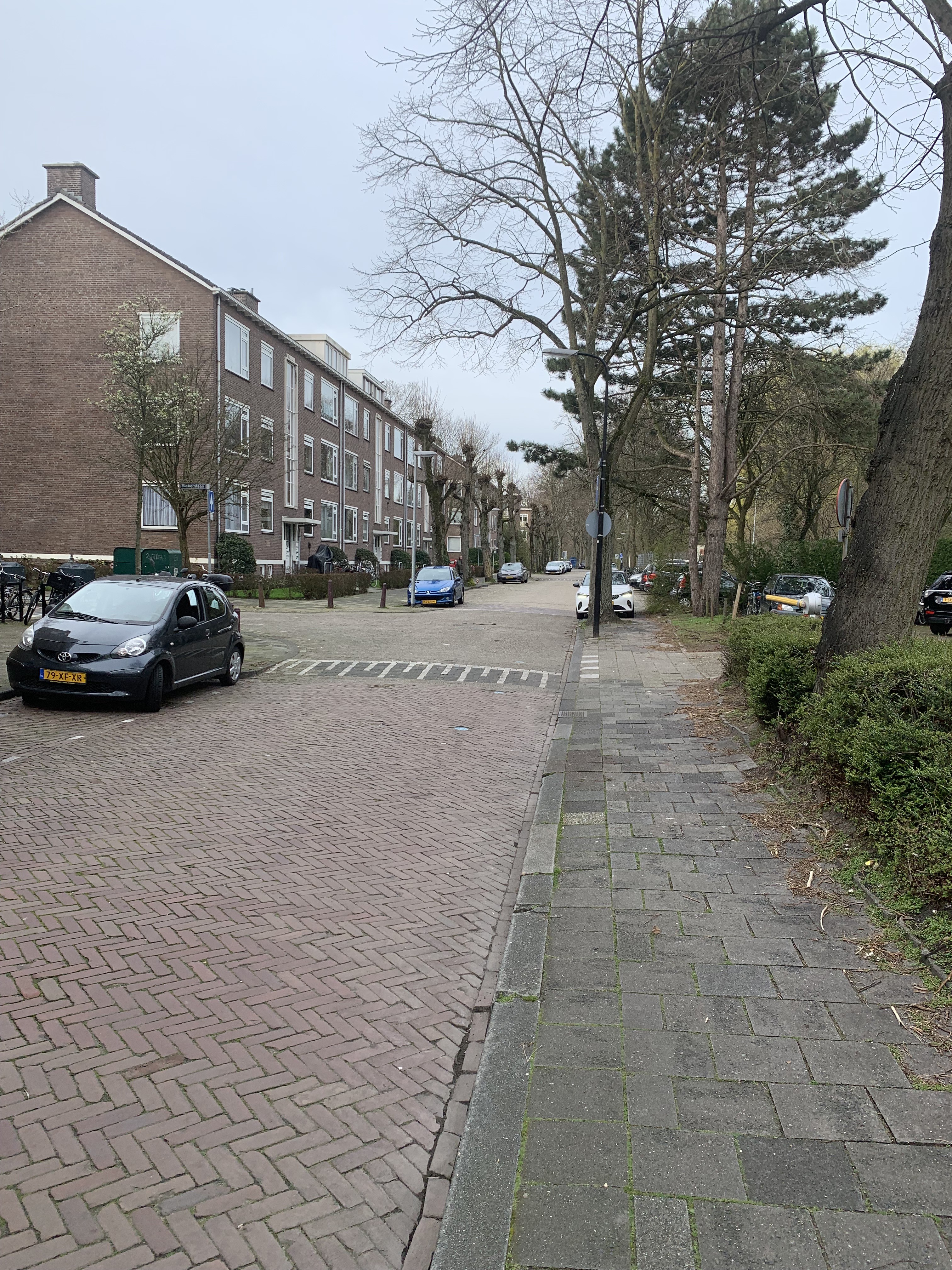 Tulpstraat 58A