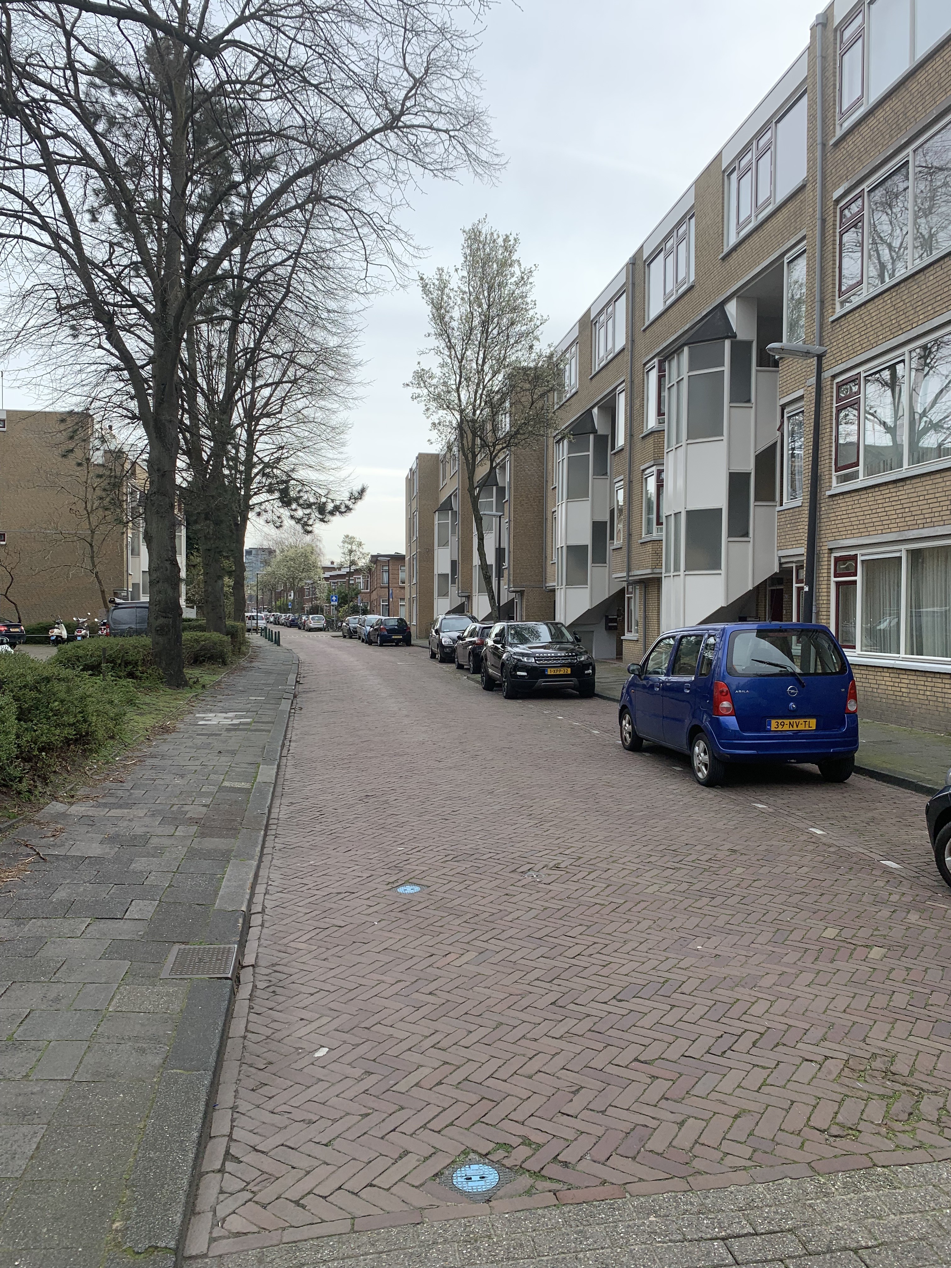 Tulpstraat 58A