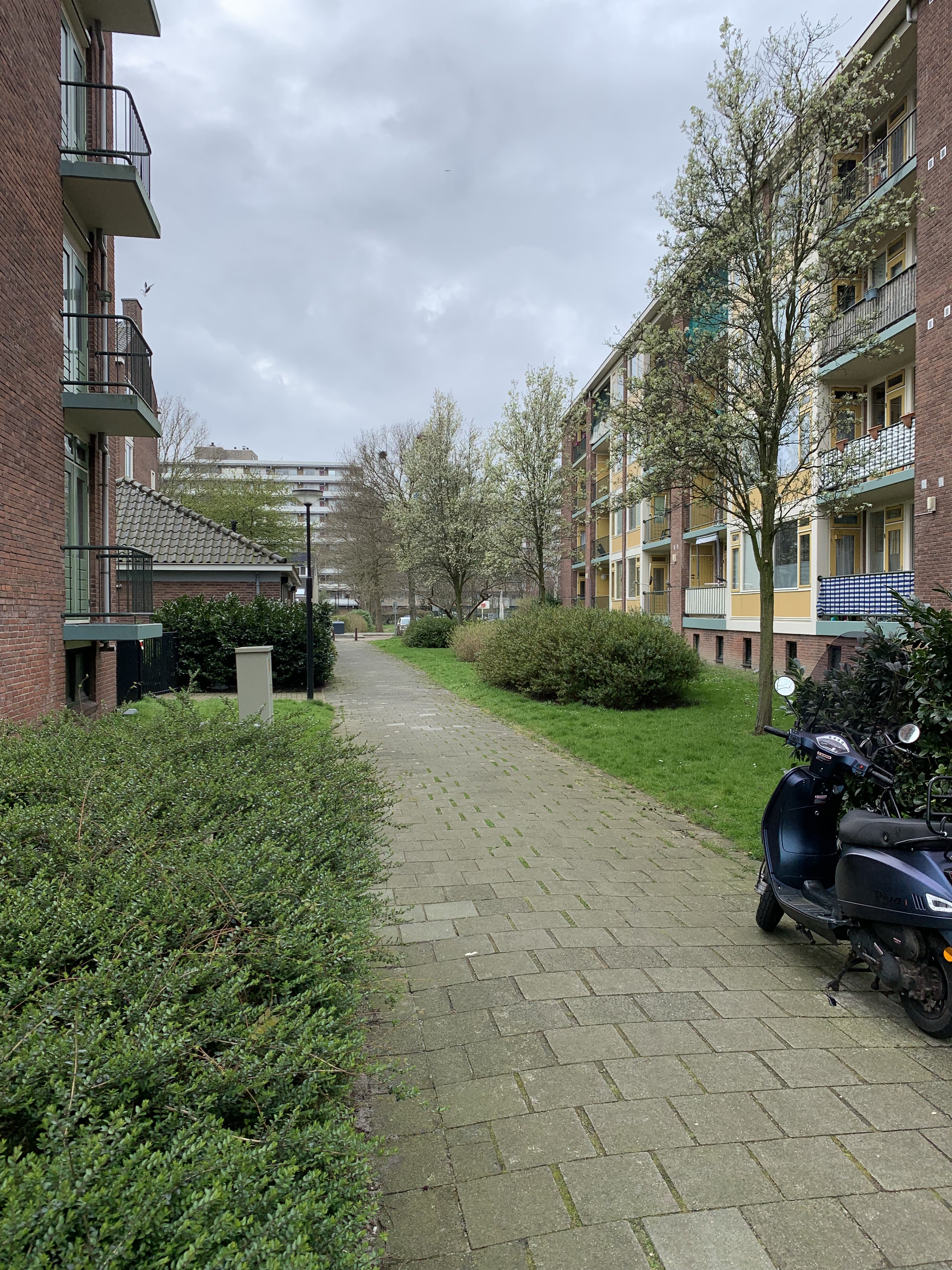 Karmozijnstraat 7