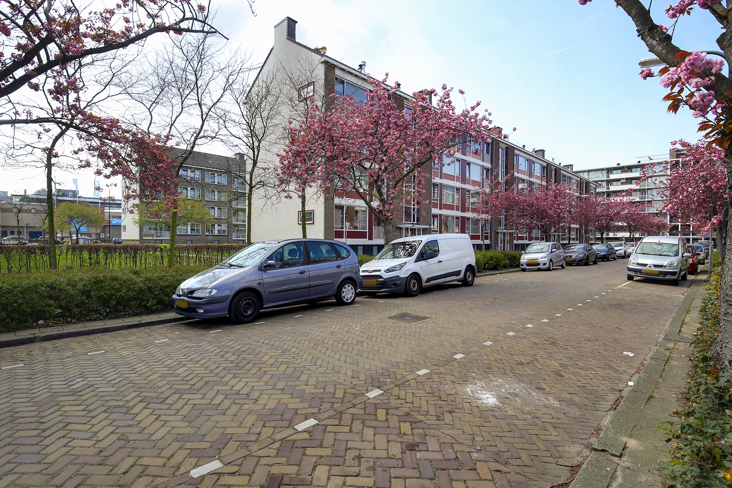 Pisuissestraat 46