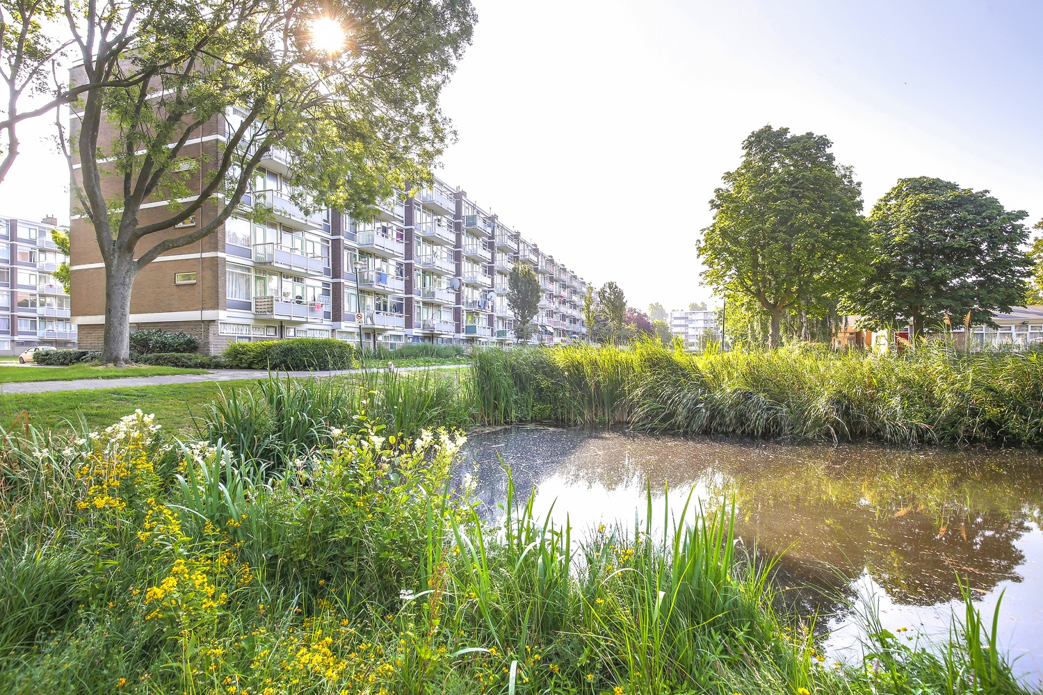 Burgemeester Velthuijsenlaan 224