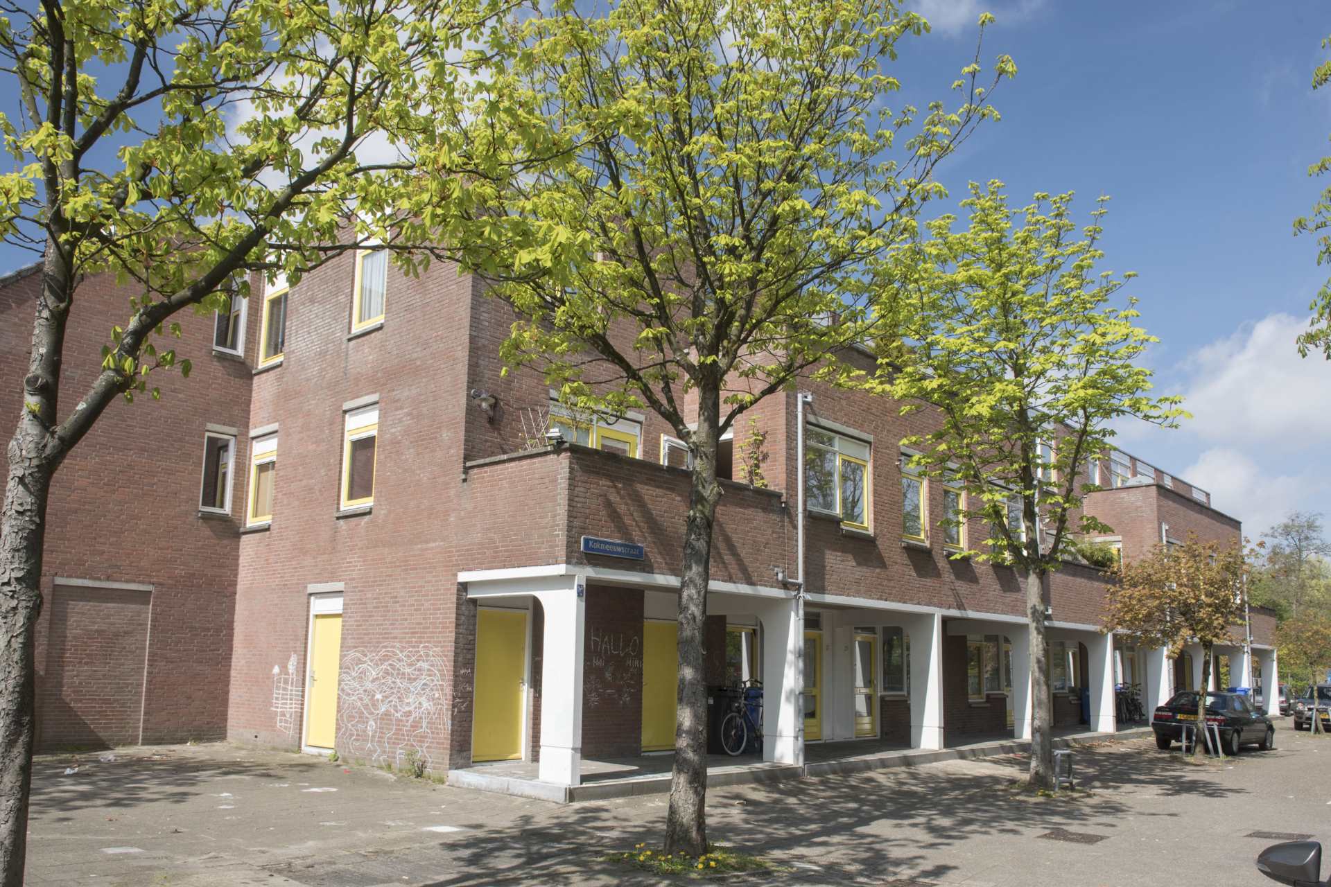 Kokmeeuwstraat 5