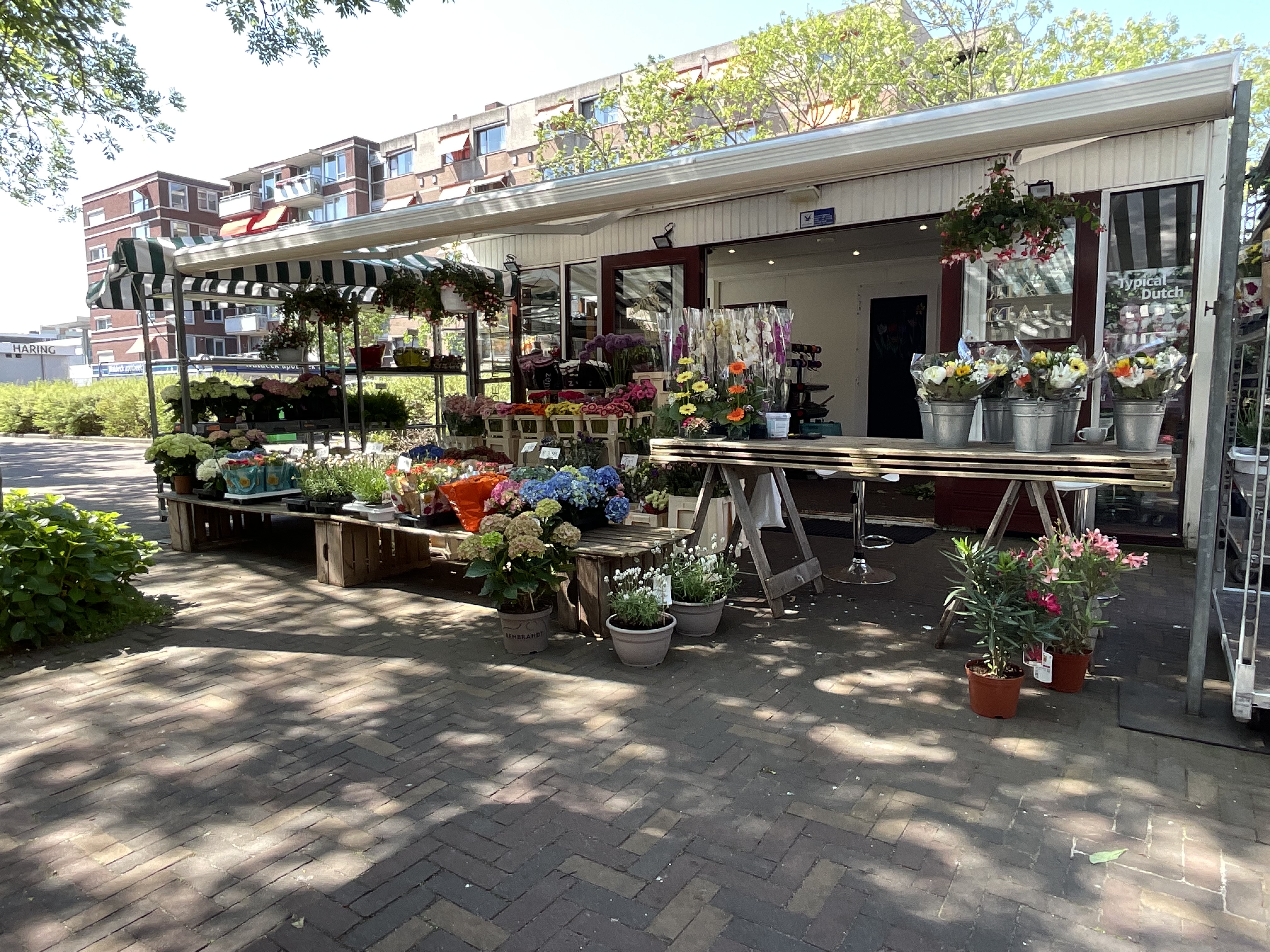 Cornelie van Zantenstraat 215