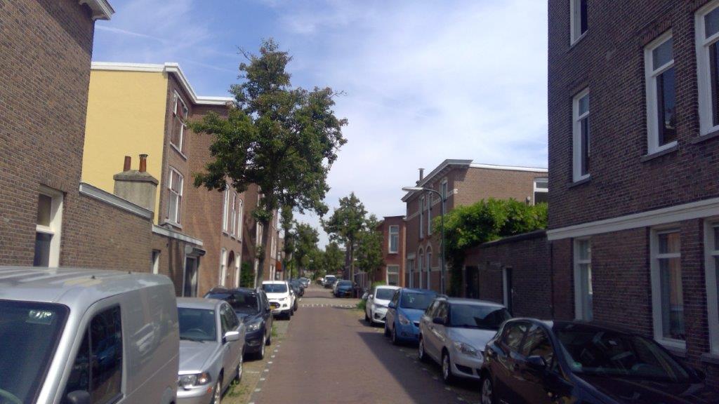 Rozenstraat 30