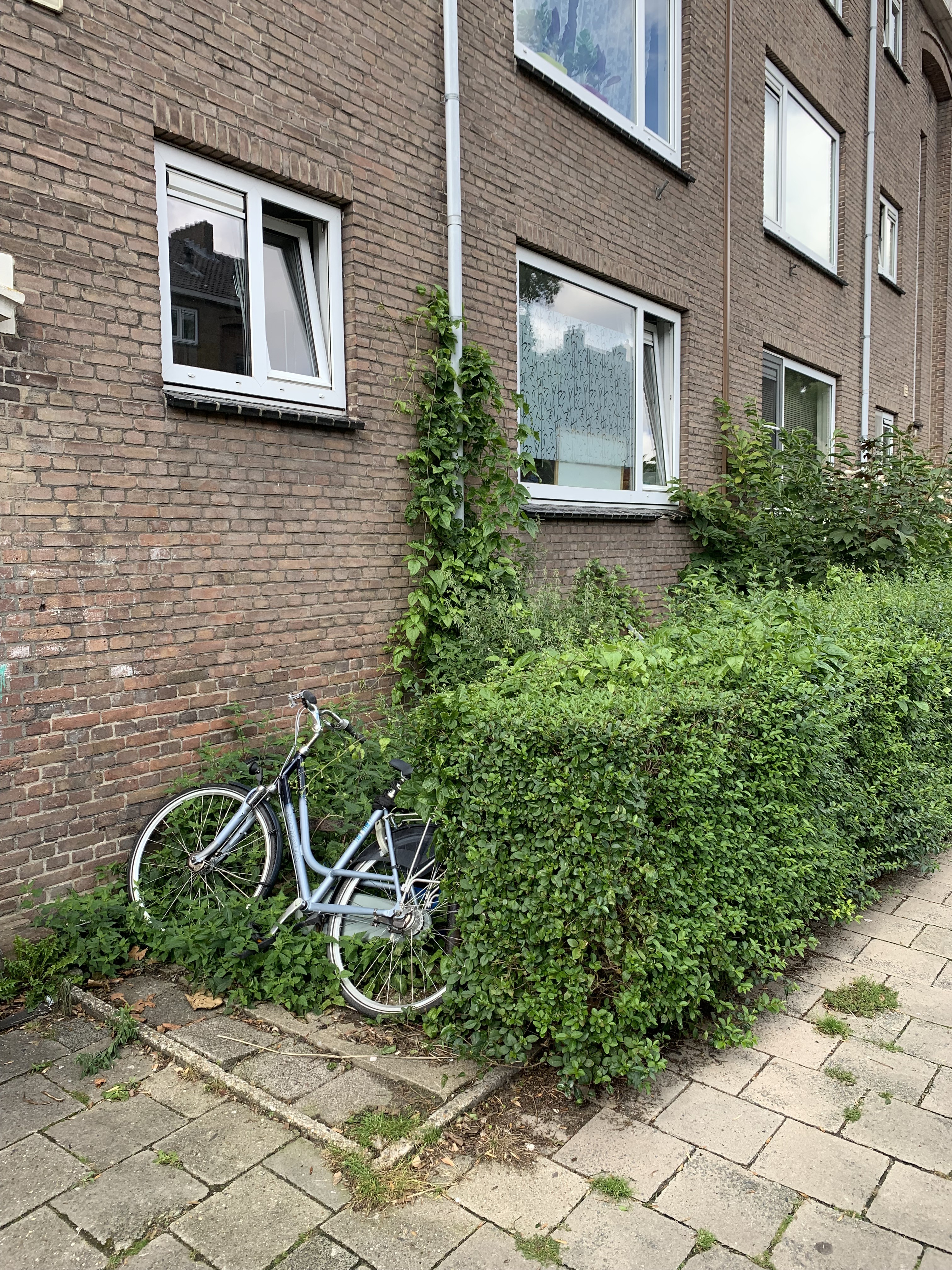 Havenstraat 40