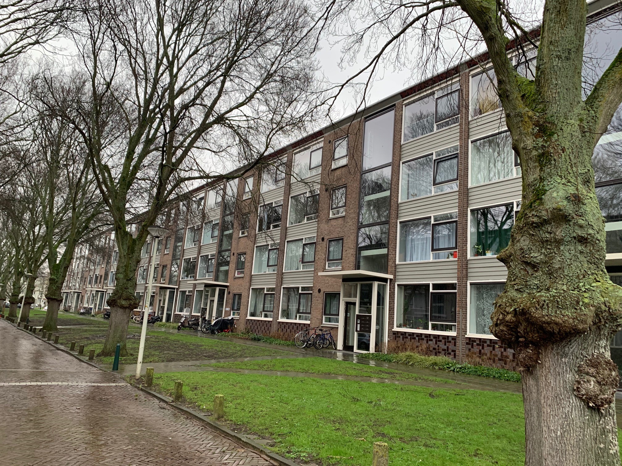 Nettelhorststraat 135, 2532 BP Den Haag, Nederland