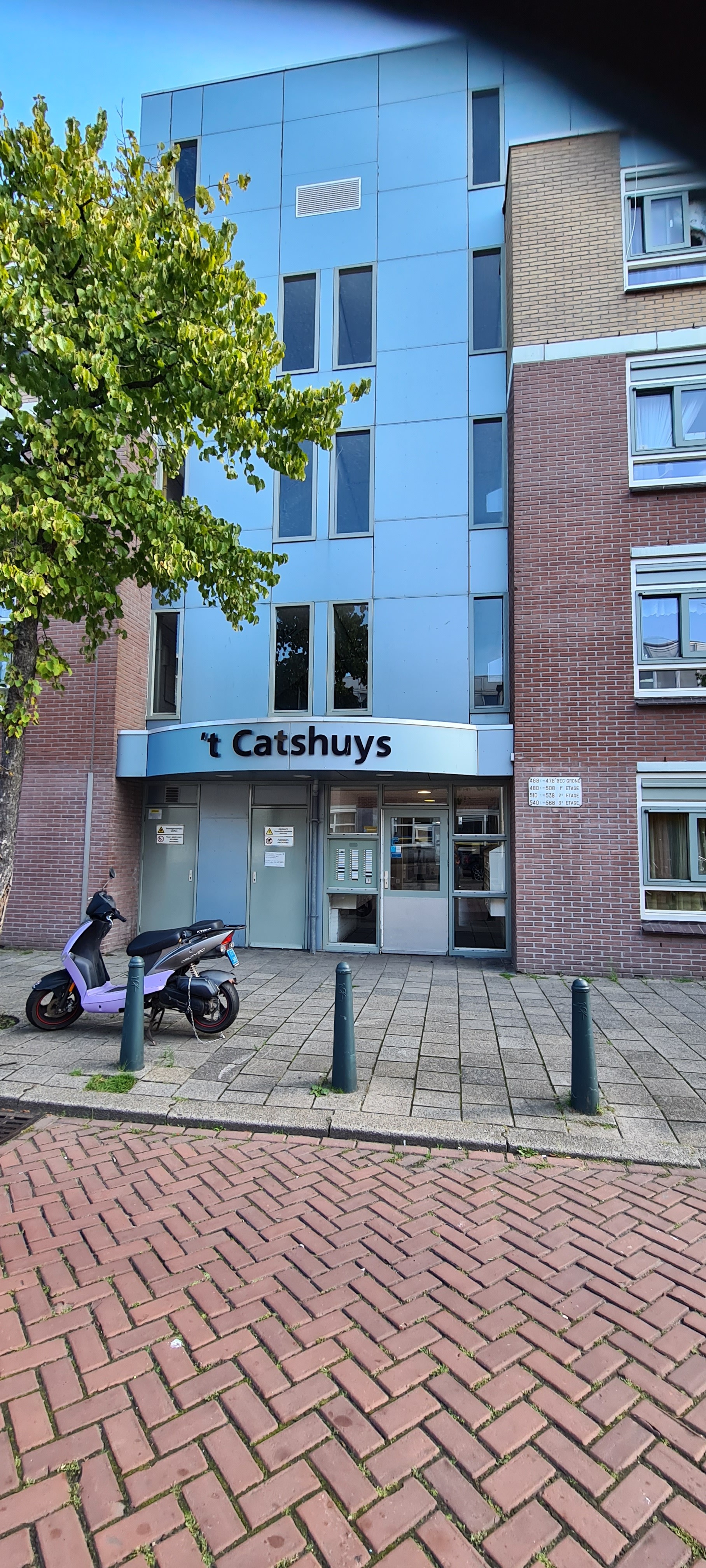 Jacob Catsstraat 474