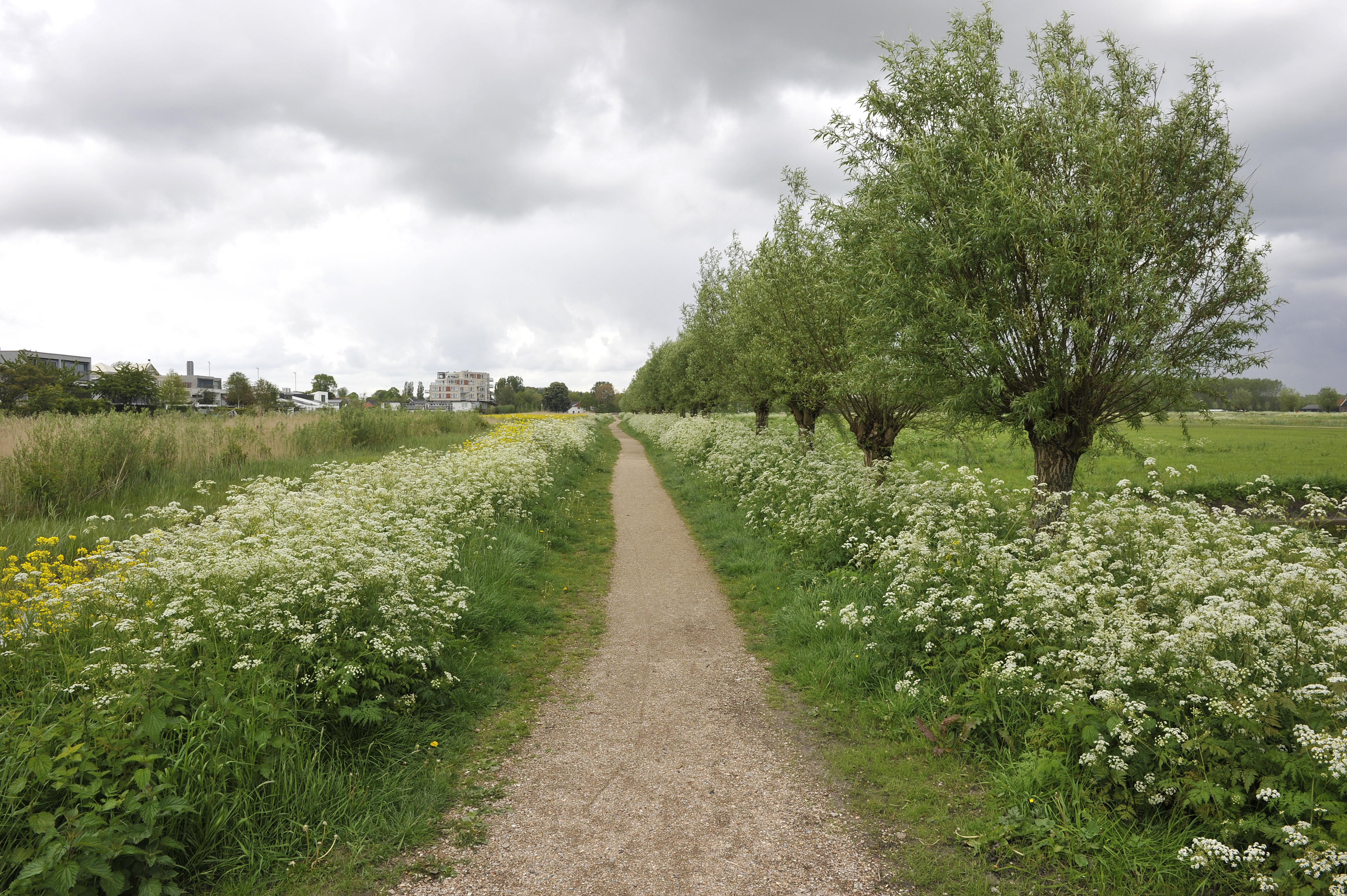 Straat van Ormoes 17