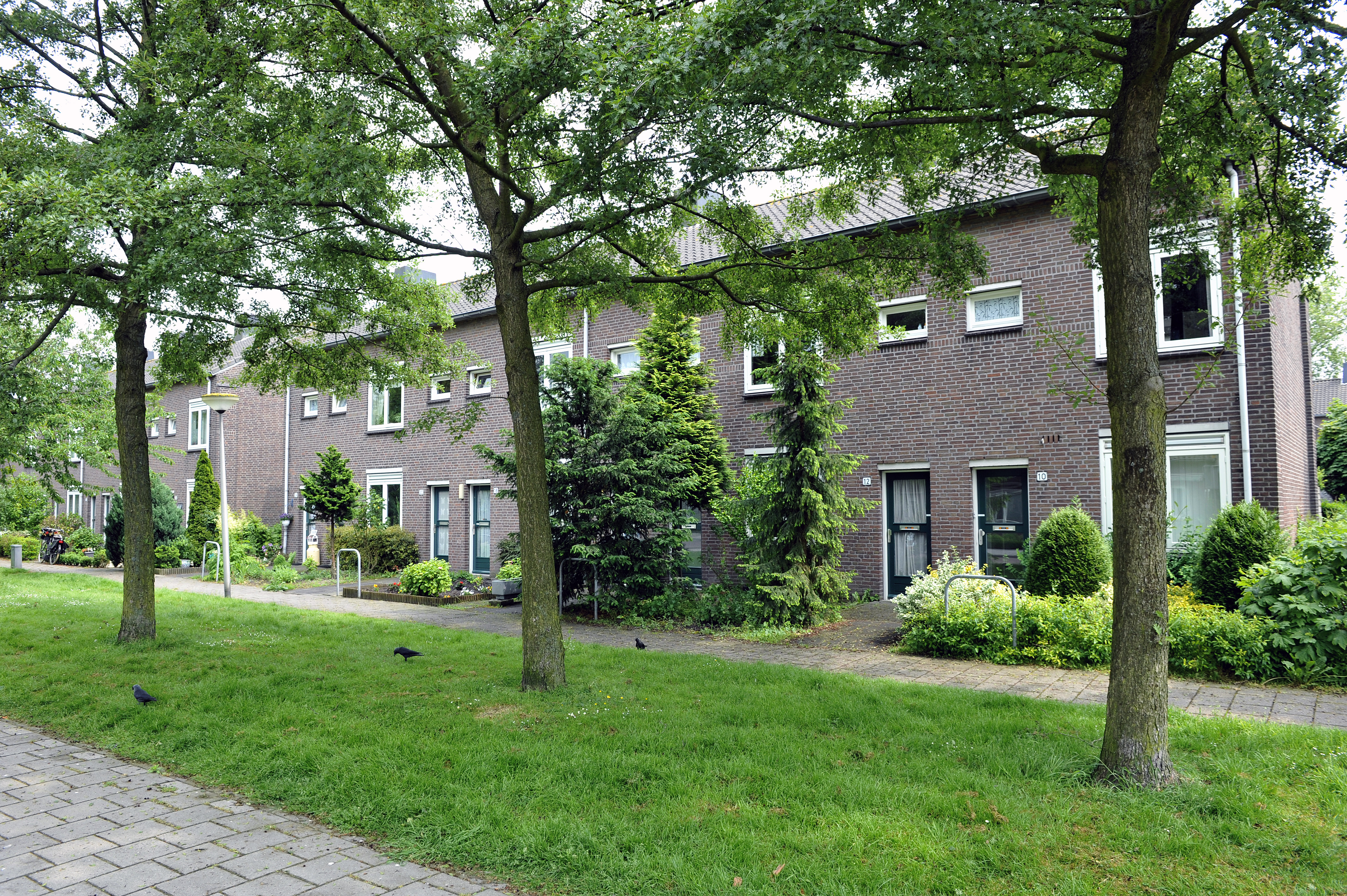 Arubastraat 18