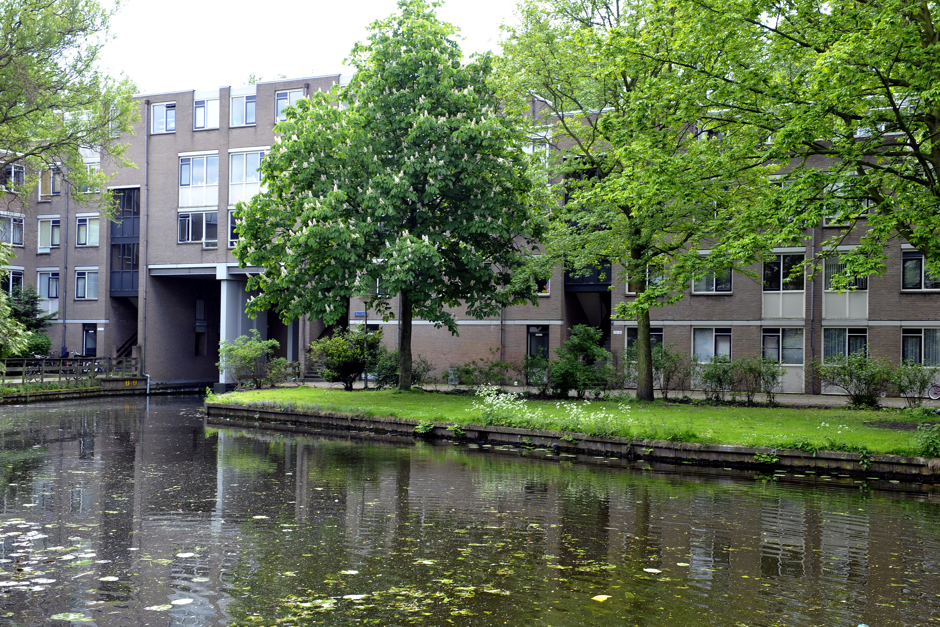 Waterblok 7, 2612 KW Delft, Nederland