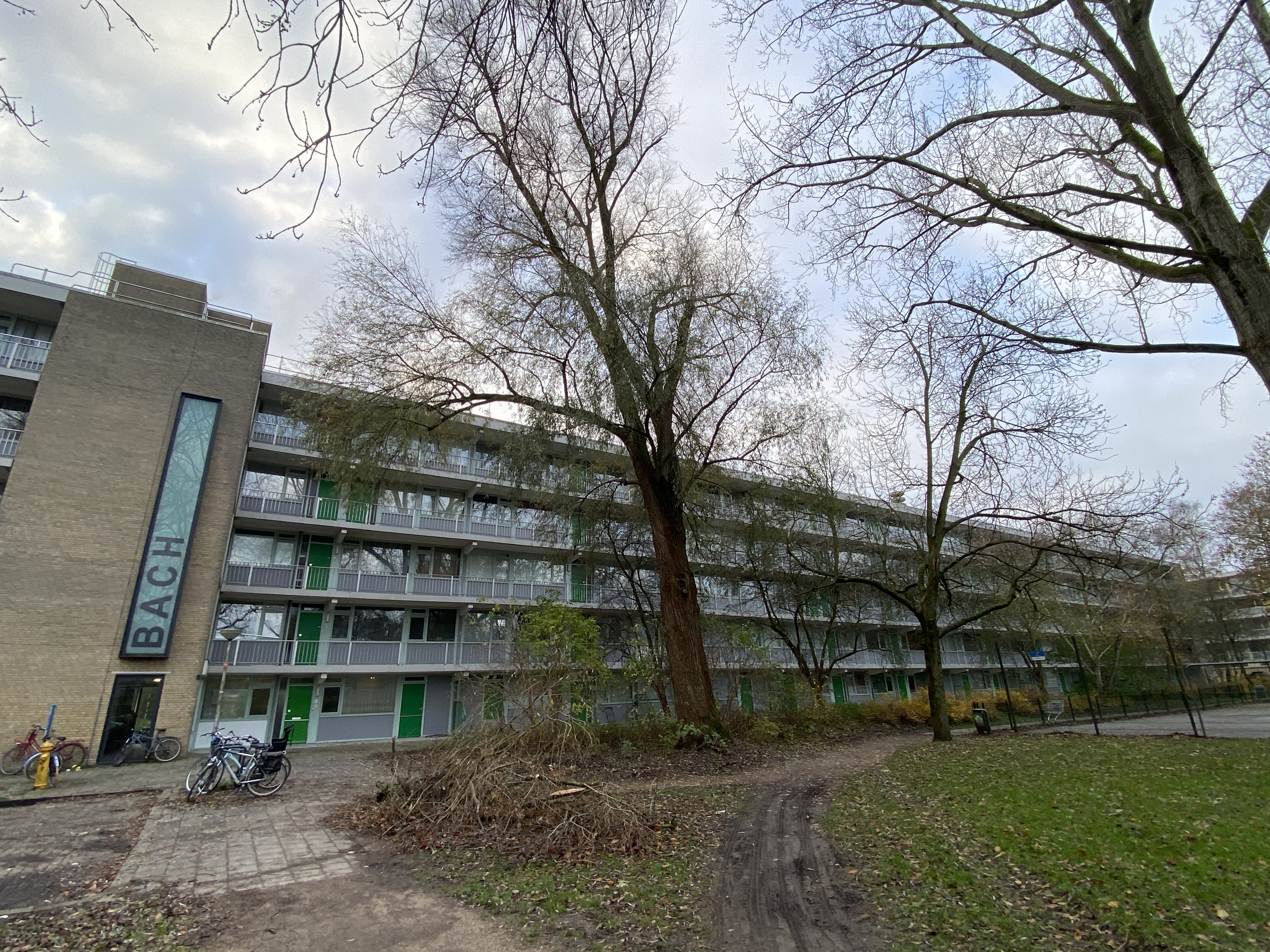 Bachsingel 42