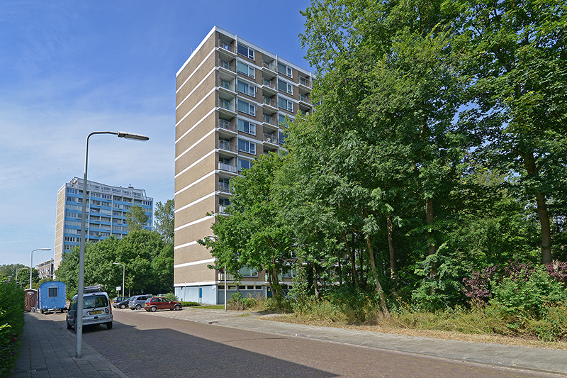 Heliotrooplaan 52, 2555 MC Den Haag, Nederland