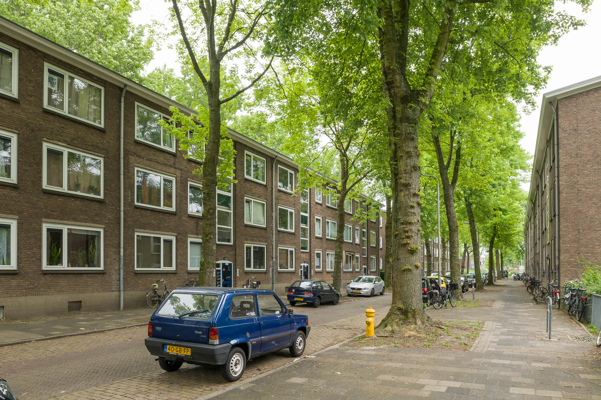 Van Assendelftstraat 7