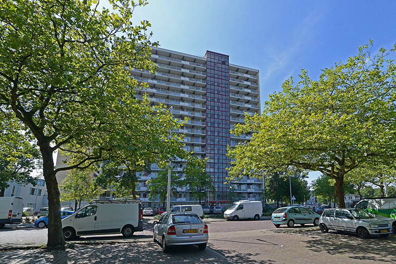 Willem Dreespark 54