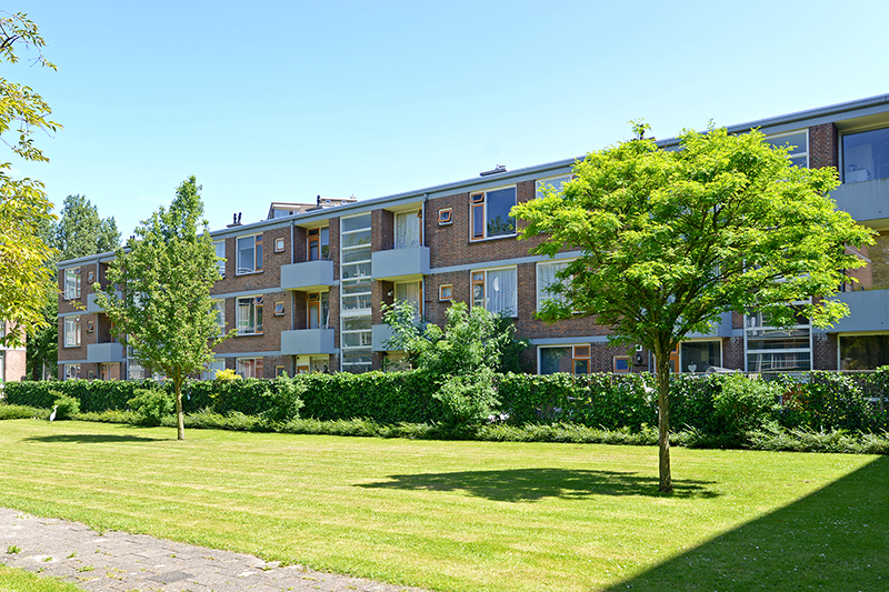 Het Kleine Loo 139, 2592 BZ Den Haag, Nederland