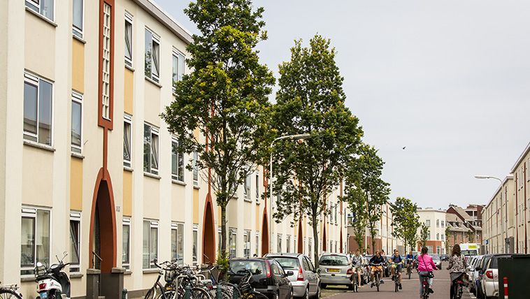 Pluvierstraat 202