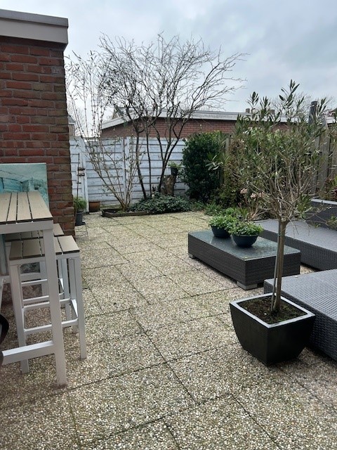 Gele meerbloem 4