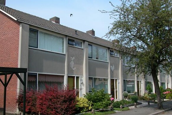 Liesveld 27