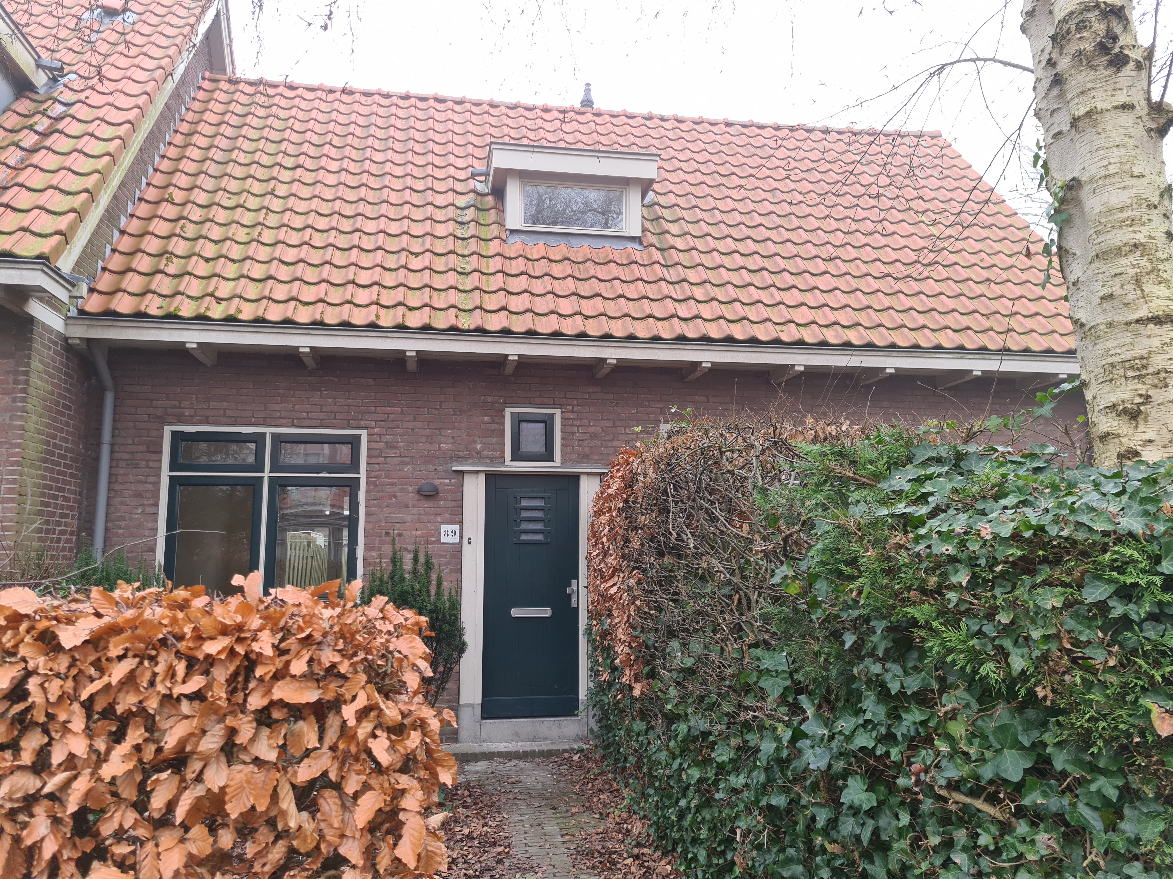 Bloemluststraat 89