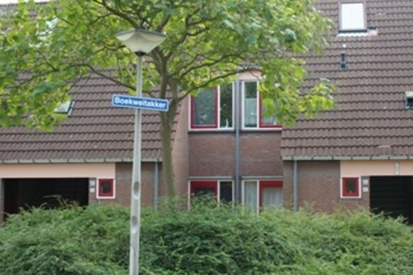 Boekweitakker 58