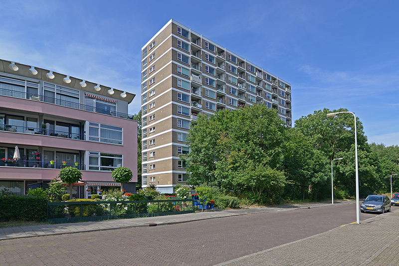 Appartement te huur: Ericalaan 91B, Bohemen en Meer en Bos 'S-Gravenhage