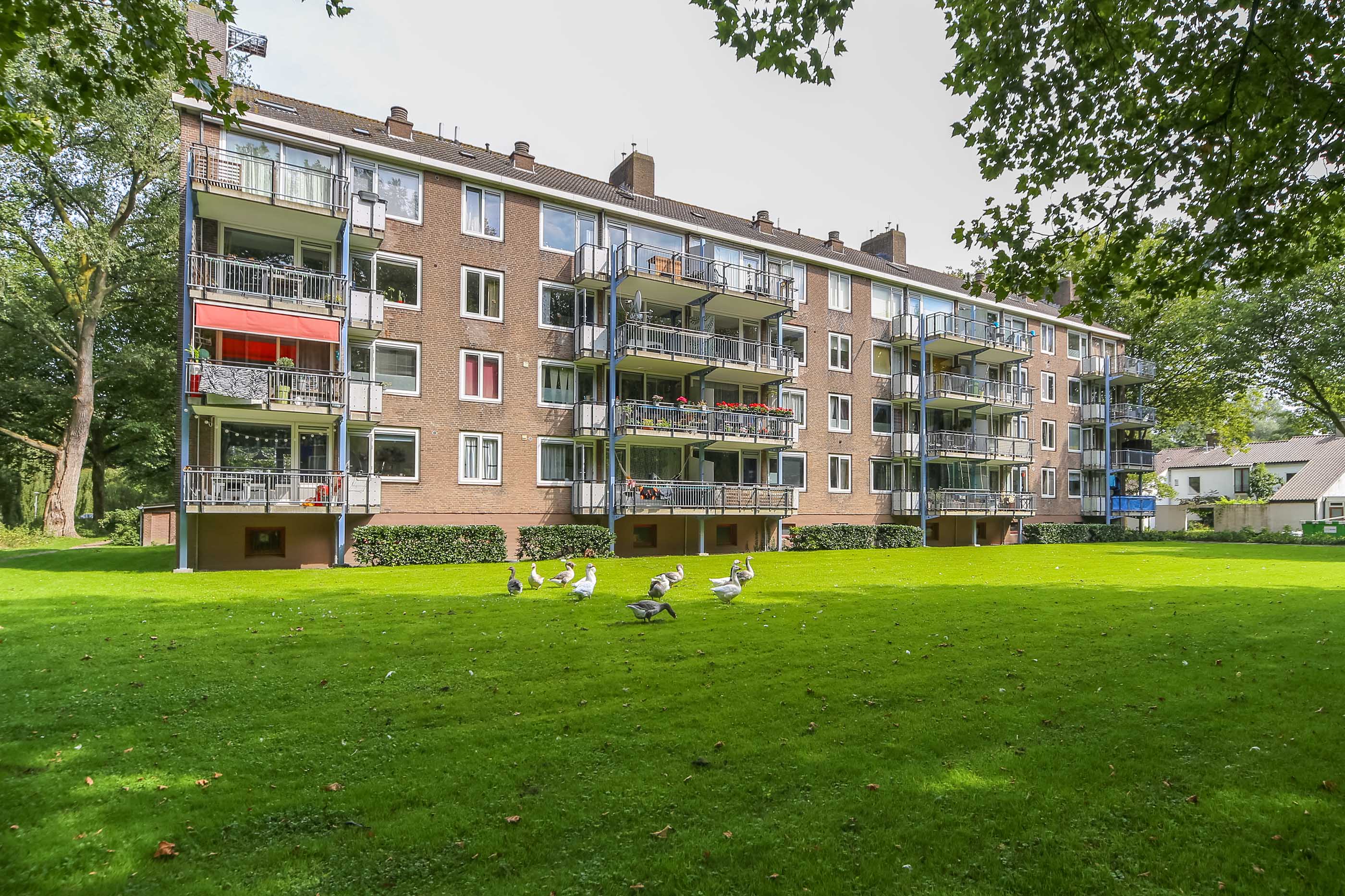 Appartement te huur: Prof. Evertslaan 107, Professorenbuurt Delft