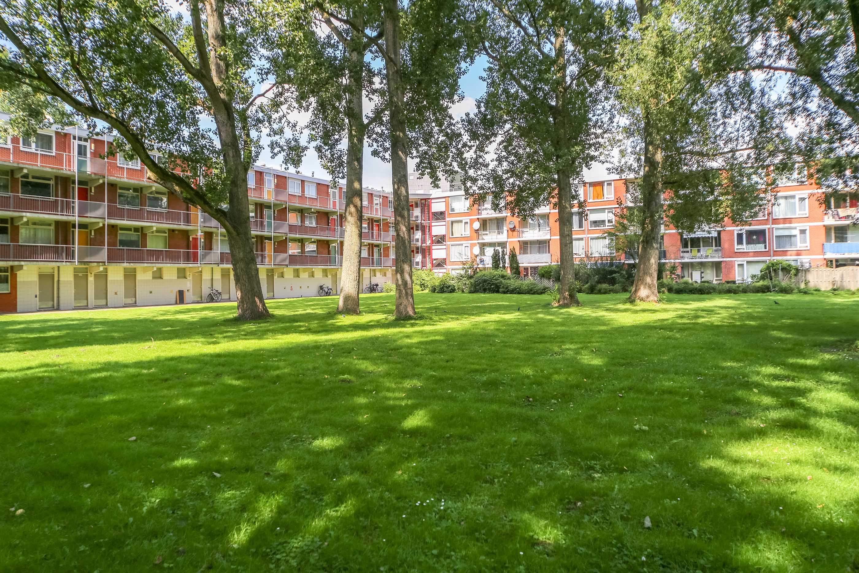 Apartment for rent: Wagenaarstraat 45, Het Rode Dorp Delft
