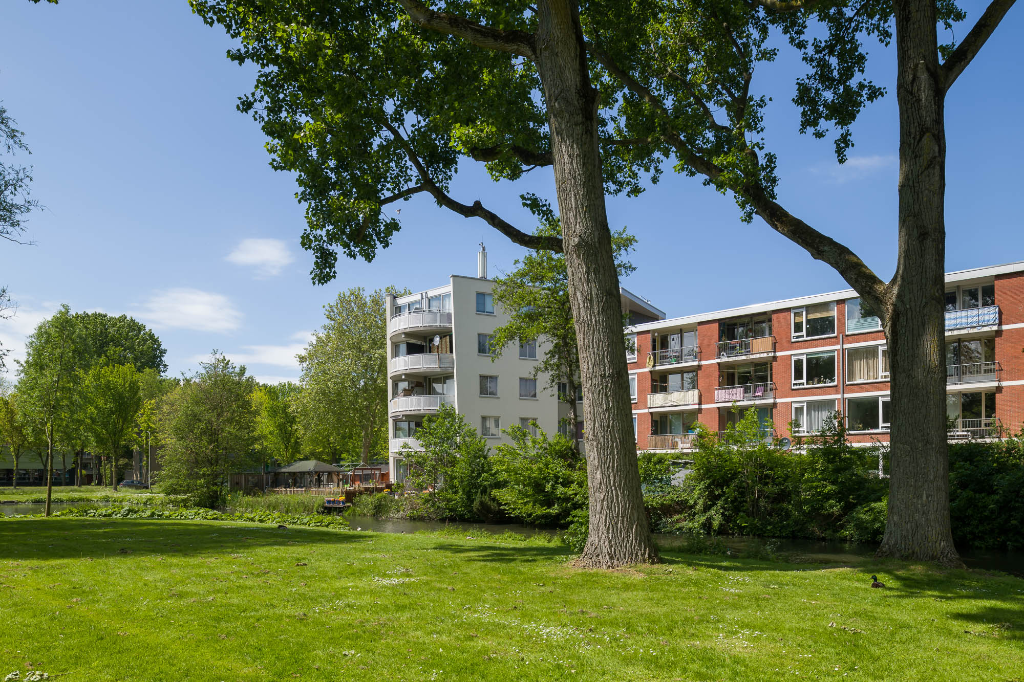 Appartement te huur: Sweelinckstraat 4, Het Rode Dorp Delft